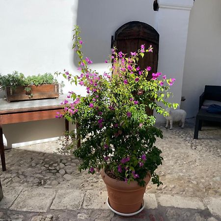 אסרגי Piazzetta Del Forno Appartamento מראה חיצוני תמונה